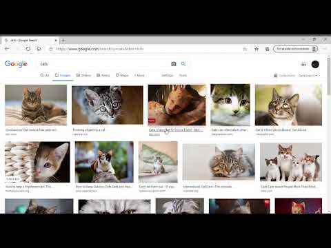 CS50's Web Programming with Python and Javascript | Project 0