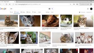 CS50's Web Programming with Python and Javascript | Project 0