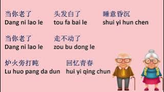 Dang Ni Lao Le 《当你老了》(Lyrics)
