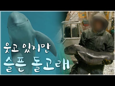 세계적으로 희귀한 <strong>멸종</strong> 위기 동물이 우리나라에서만 일 년에 5,000여 마리씩 <strong>바다에</strong> 버려지는 이유│여섯 번째 대멸종│다큐프라임