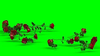 Falling Roses Red No.1 HD Animation - green screen effect & overlay