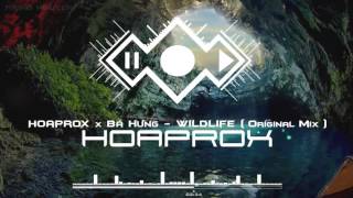 Hoaprox x Bá Hưng - WILDLIFE (Original mix) - [Official Audio]