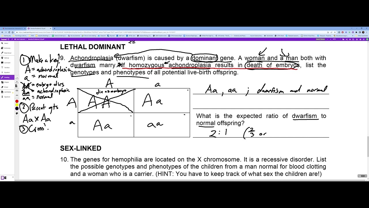 Genetics problems 2 back - YouTube