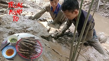 Một Ngày Của Team Đi Bắt Cá Bống Sao Trúng Toàn Cá Mập ÚÙU.