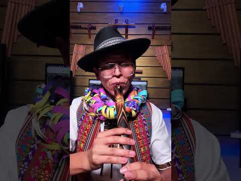 Palomitayqa - Orlando Pozo