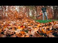 One of the MOST POWERFUL Battery Leaf BLOWERS vs TONS OF LEAVES!