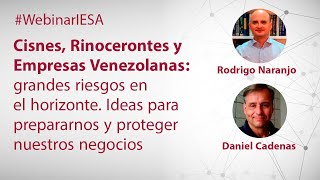 Cisnes, Rinocerontes y las Empresas Venezolanas: Grandes Riesgos en el Horizonte