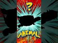 Who&#39;s That ANIMAL?! (ep. 42) #shorts #animals #quiz | Animal Fact Files