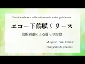 Fascia Release/筋膜リリース