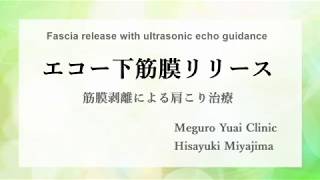 Fascia Release/筋膜リリース