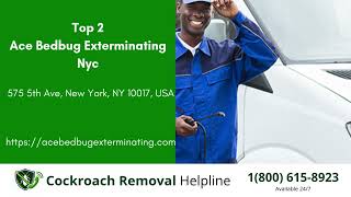 Top 3 Cockroach Exterminator in Gilbert