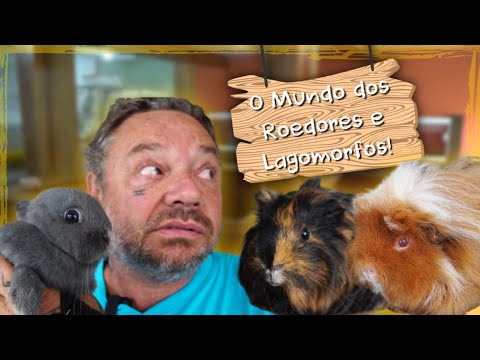 AUMENTANDO A FAMÍLIA: NOVOS ROEDORES E LAGOMORFOS! | A CASA DOS BICHOS