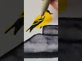 Amber cromby the finch               art artwork drawing watercolor birds birdwatching