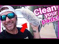 How To Clean Wool & Foam Pads ( Quickly ) | Boat detailing tips