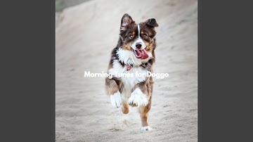 Exquisite Backdrops for Spirited Flow