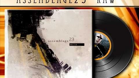 Assemblage23 - Raw [HQ Audio]