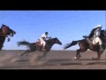 Arabian Horse Tribute - Videos and Pictures