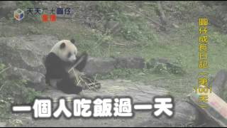 每日一圓仔--蘋果日報20160403