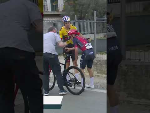 Video: Tom Pidcock vinder solo i Paris-Roubaix U23