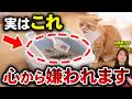 【実は逆効果】猫に嫌われる飼い主の悪習慣7選