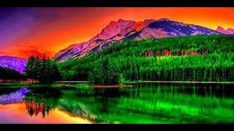 BSC BOTANY FIRST YEAR PRACTICAL FILE TOPIC PTERIDOPHYTA PART -2