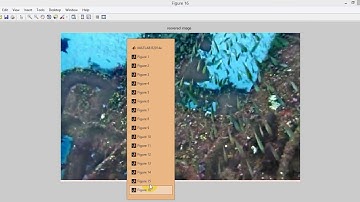 Underwater Image Restoration Based on Image Blurriness and Light Absorption