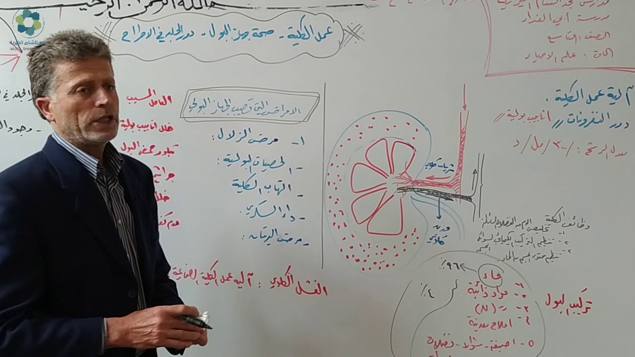 درس علم أحياء بعنوان عمل الكلية وصحة جهاز البول ودور الجلد في الاطراح لطلاب الصف الثالث الإعدادي