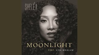 Moonlight Moonlight