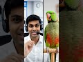 Parrot talking to India Tech support