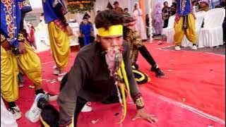 SENI AKTRAKSI MACAN- SEKAR KENCANA- ACTION ART OF A TIGGER EATING RAW CHICKEN