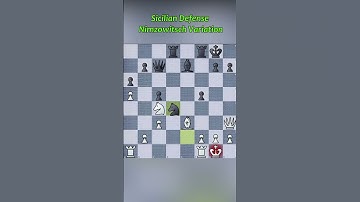 Sicilian Defense Nimzowitsch Variation, Closed   A Hard Fought Draw
