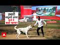 Baghpat Dog Attack | Abp Report: दूध के पैसे लेने गए युवक पर पालतू कुत्ते का जानलेवा हमला!