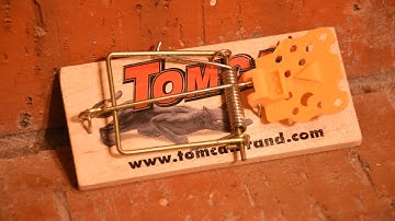 Building a Better Mousetrap - Mikes Inventions