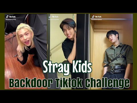 Stray Kids - Backdoor Tiktok Challenge