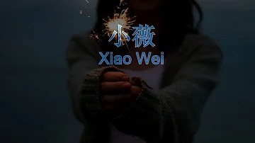 Xiao Wei ( 小薇 ) HD Karaoke Mandarin - No Vocal