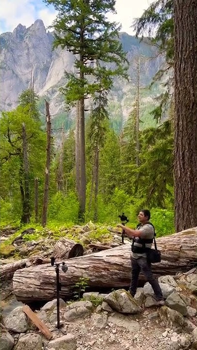 Filming walking tours in the amazing forest, with z cam e2 m4 and insta ...
