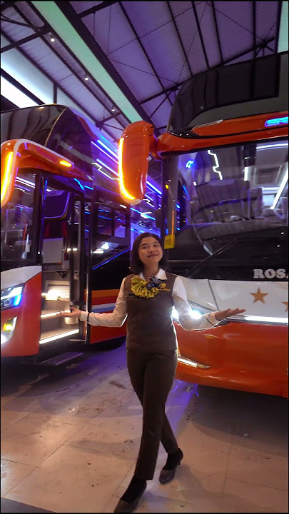 Armada baru rosalia indah untuk menemani mudik kalian ditahun ini....