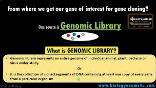 What is Genomic Library? What are the steps in construction of a Genomic Library?