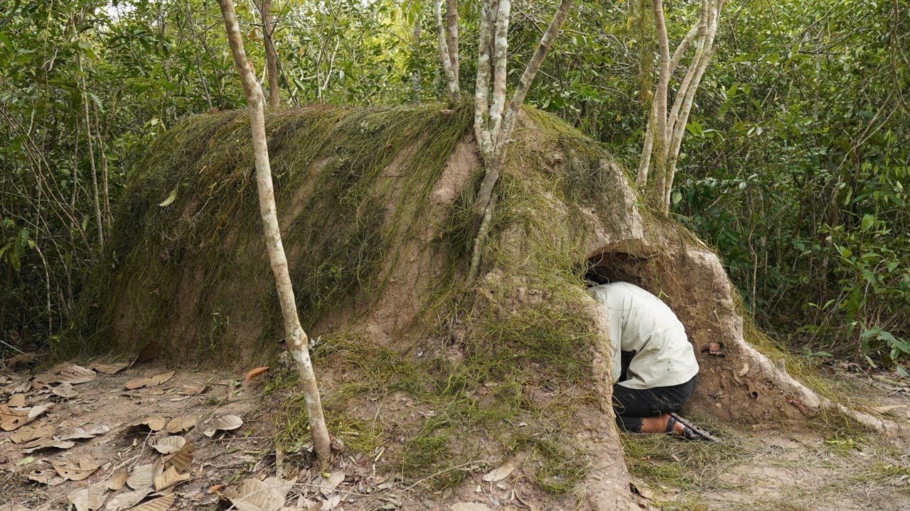 Amazing Girl Build Underground Tunnel Home to Live in the Wild