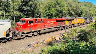 UP, BNSF & CP | Heavy Trains Climbing the Allegheny Mountains! - NS Pittsburgh Line