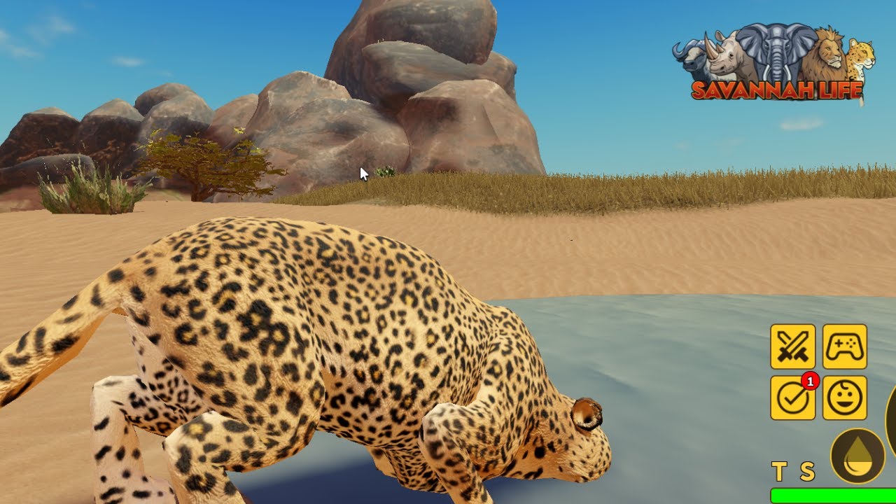 Trolando panelinhas de leopardo no Savannah Life