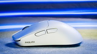 Best Shape for $46 (Phylina S450)