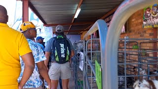 Nampo Harvest Day in Bothaville, South Africa