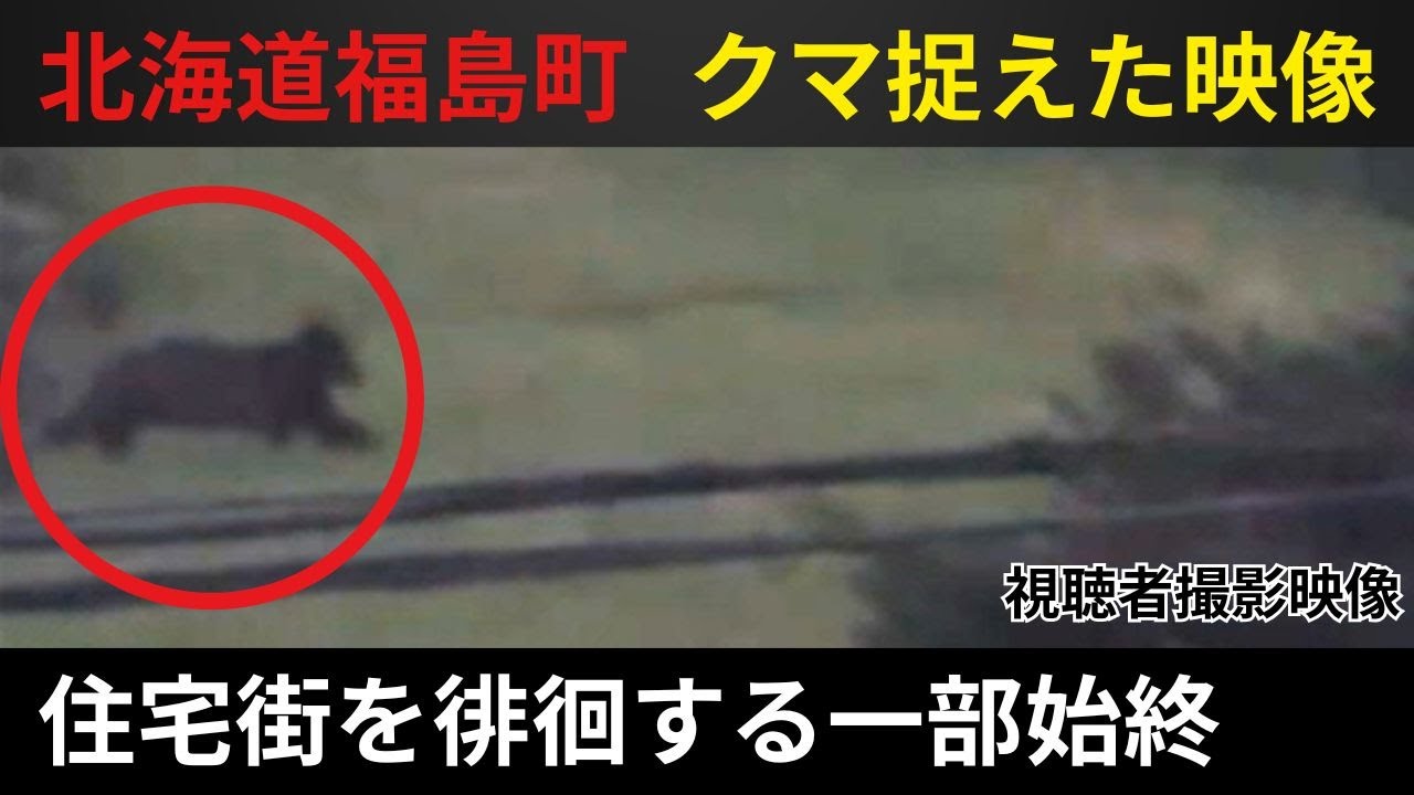ヒグマ速報】福島町で新聞配達員が襲われる“続報”－町内で10日に大きな