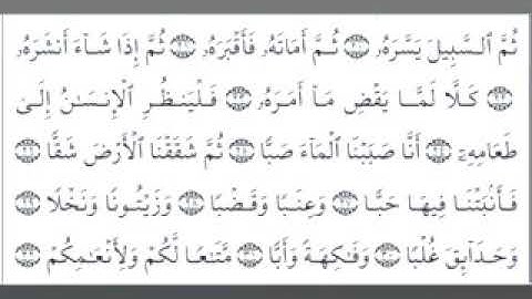 سورة عبس وتولي باجمل صوت للشهيد محمود كمال الدين