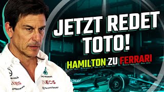 Holen Sie jetzt Verstappen statt Hamilton, Toto Wolff? | Pressekonferenz