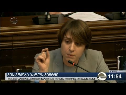 ელენე ხოშტარია გიორგი გახარიას შეკითხვით მიმართავს