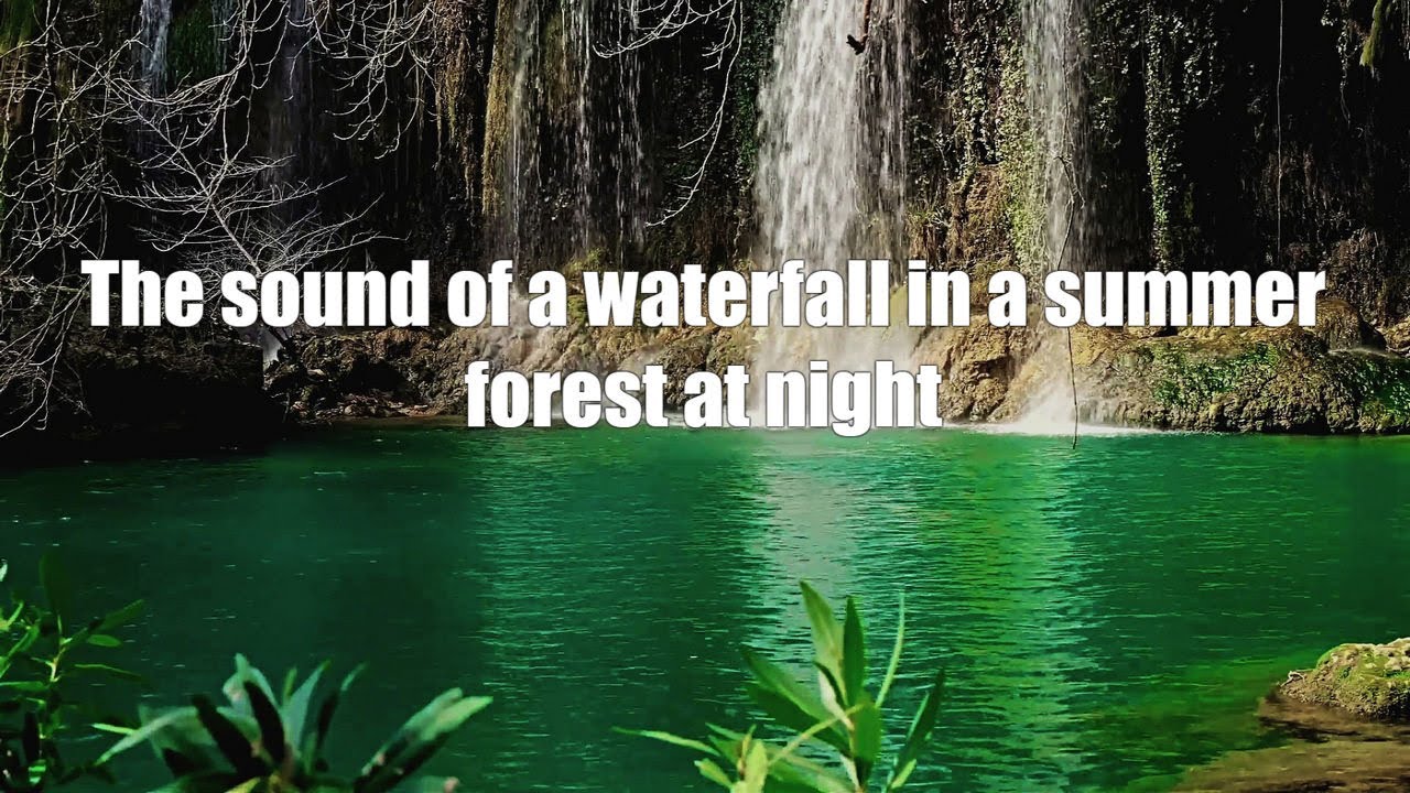 Waterfall l Forest l Birdsong and nature sounds for sleeping and ...