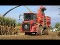 Maisernte 2020/New Holland FR 920/Holmer Terra Variant 585/Von Meer Agrarservice