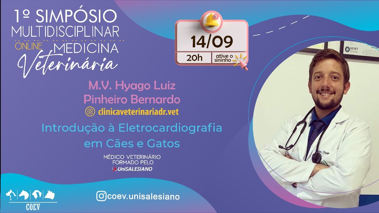 Introdução à Eletrocardiografia em Cães e Gatos